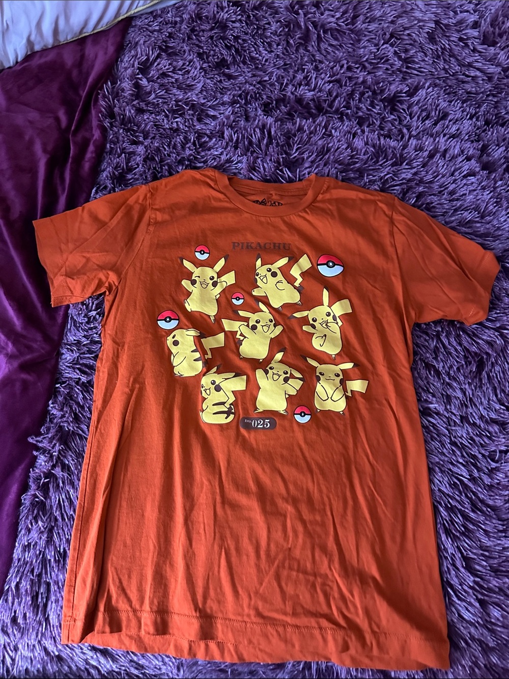 Nintendo Pokémon Crewneck Tee - Rust Orange with Yellow Accent